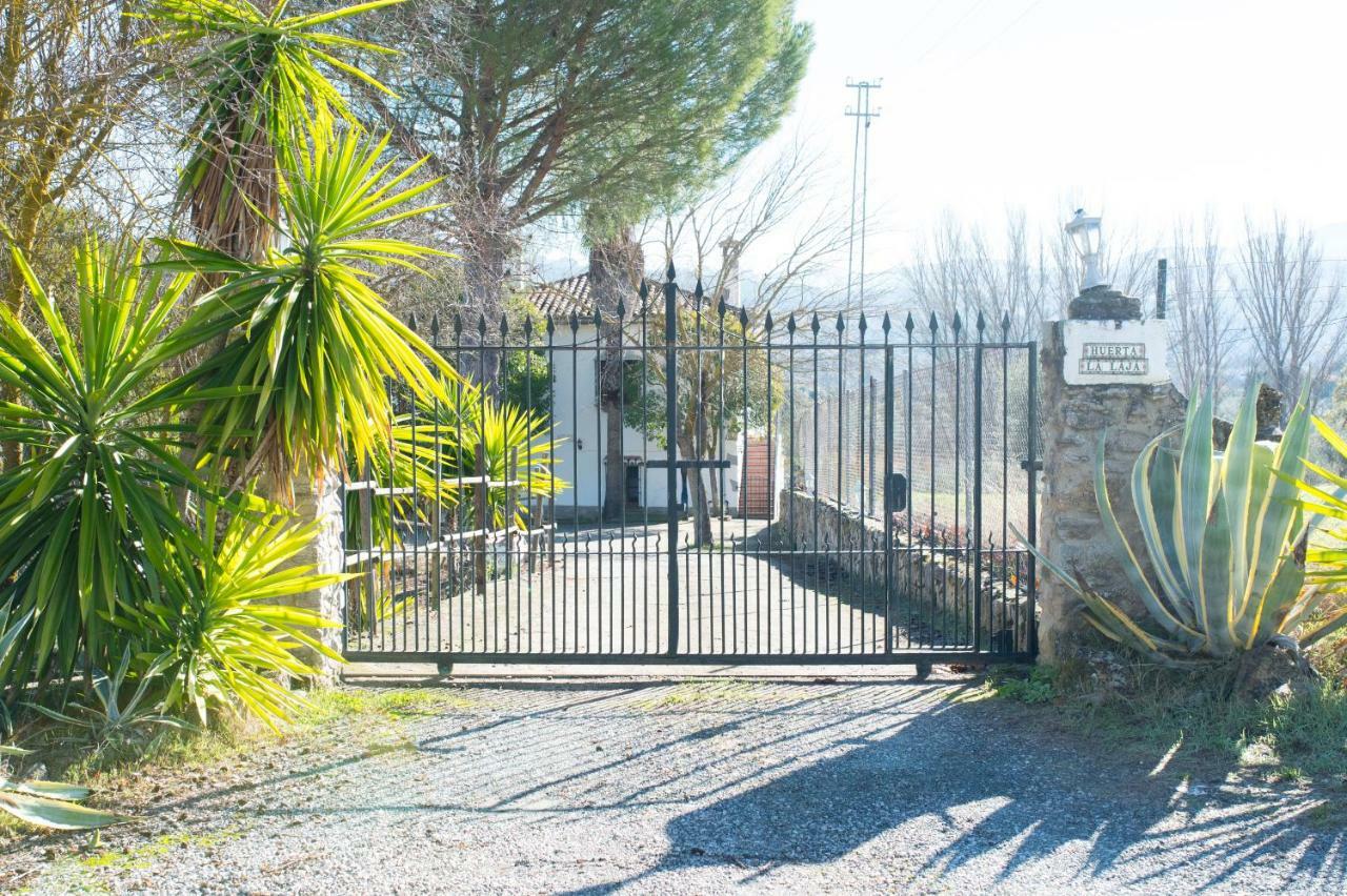 Apartamento Rural Cristi Ronda Luaran gambar